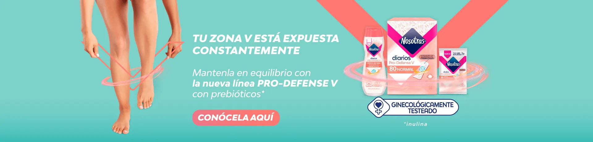 Banner Pro-Defense V