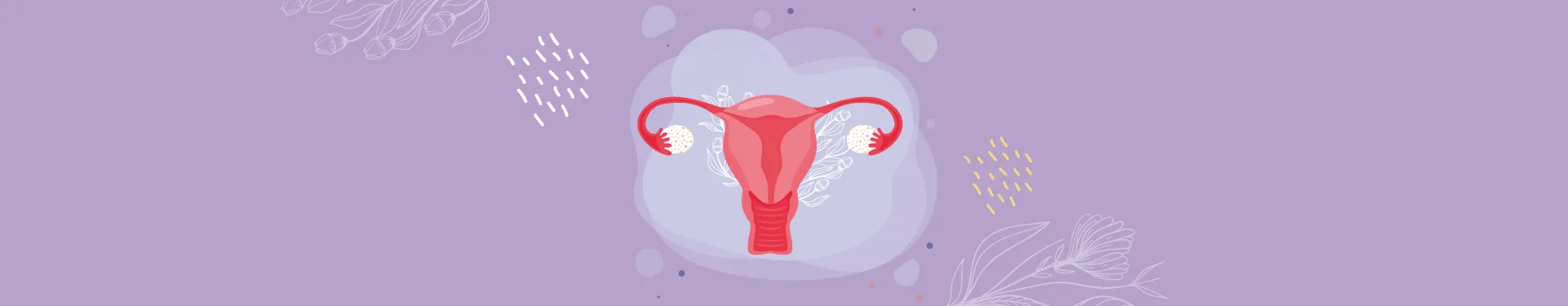 Ciclo menstrual definición